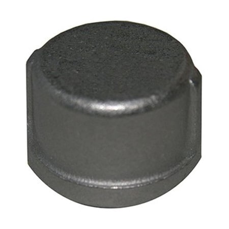 Larsen Supply Co 12 SS Pipe Cap 32-2957